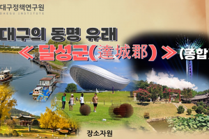 전문가 기고