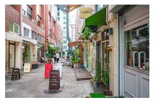 기자단 취재 기사