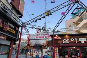 기자단 취재 기사