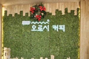 기자단 취재 기사
