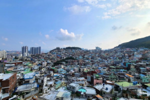 기자단 취재 기사