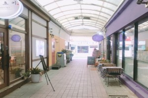 기자단 취재 기사