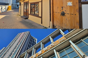기자단 취재 기사